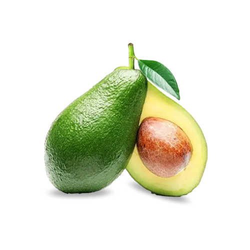 Aguate común criollo