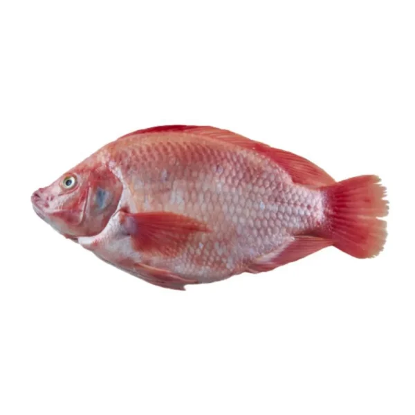 Mojarra Roja Entera Unidad